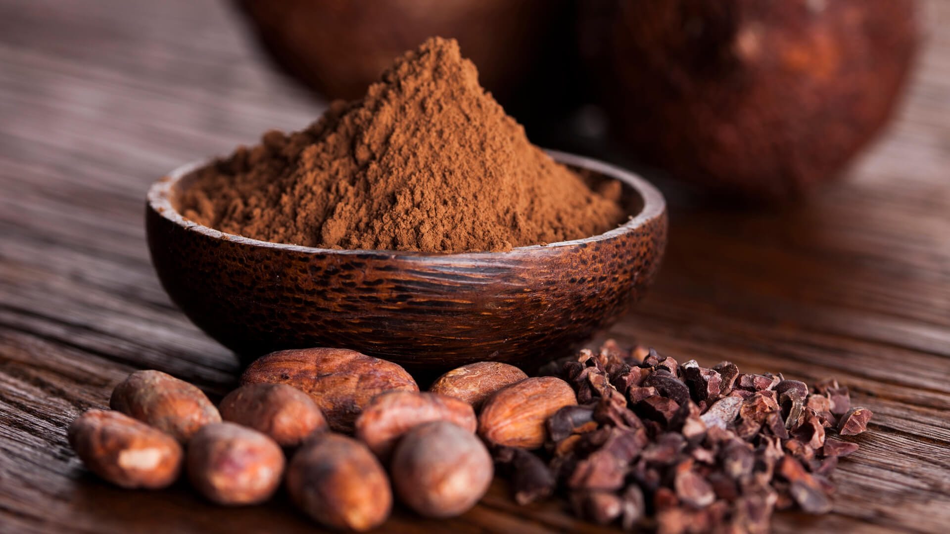Cacao, la ofrenda de los Dioses nace en el Sureste