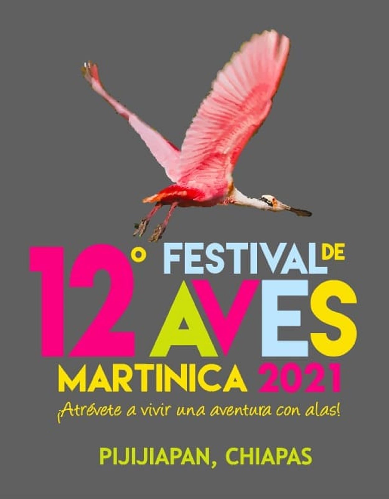 Todo listo para el 12° Festival Internacional de Aves Martinica 2021