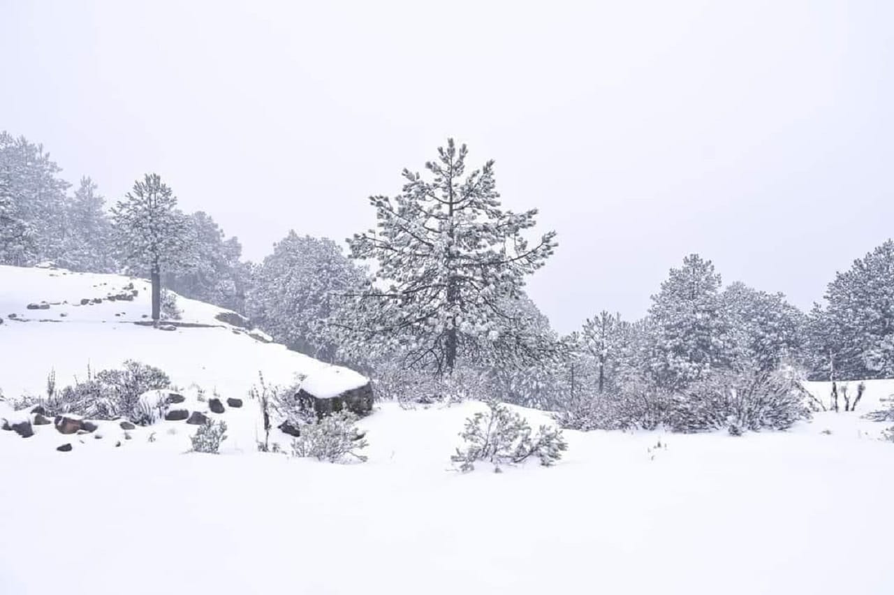 Se pinta de blanco el Cofre de Perote en Veracruz