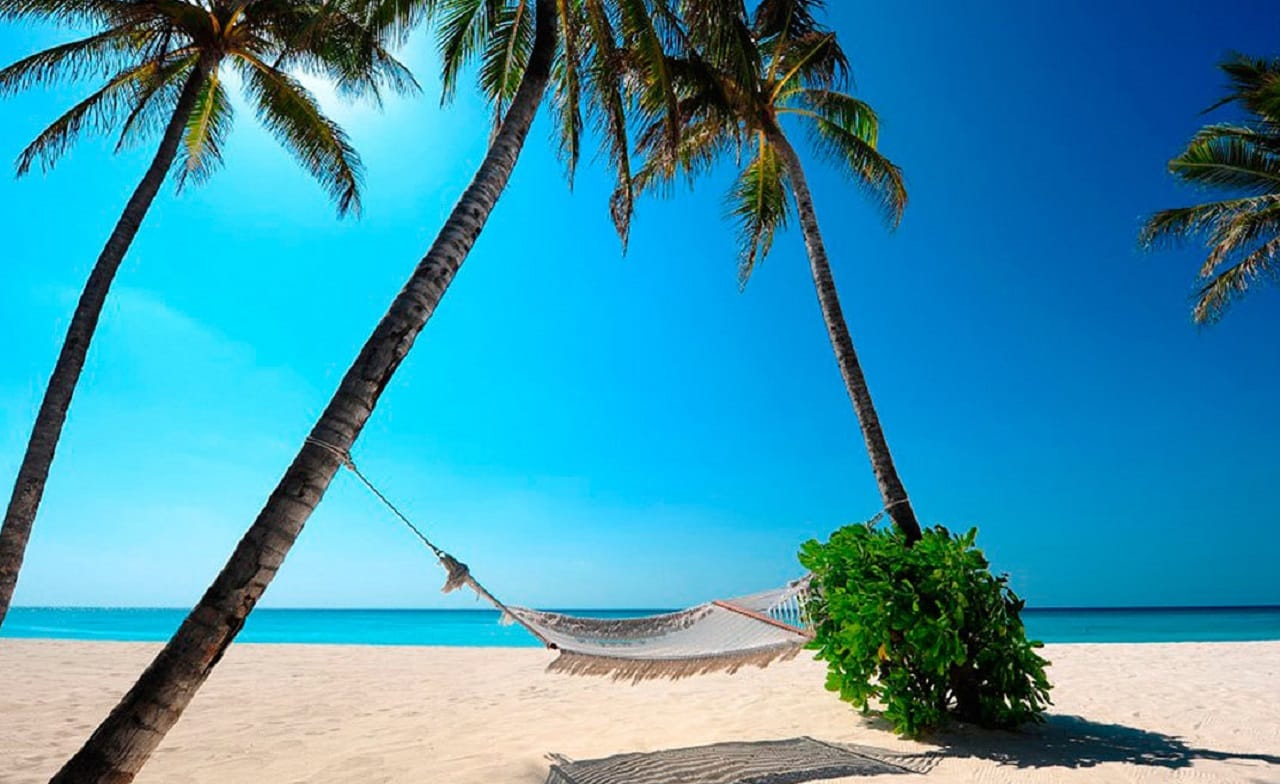 La ciencia lo confirma, ir a la playa es benéfico para el cerebro