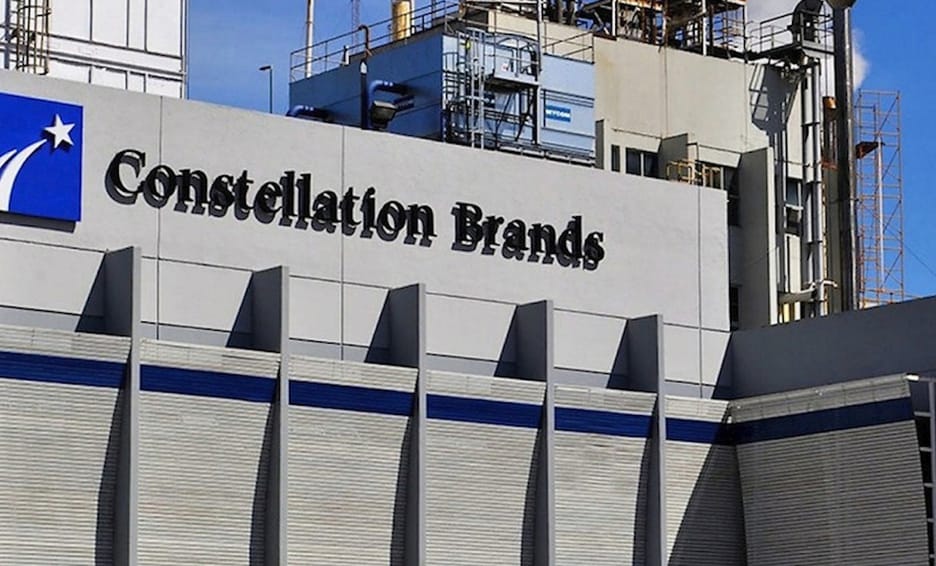 Constellation Brands invertirá 1,300 mdd en Veracruz; planta será inaugurada en 2024