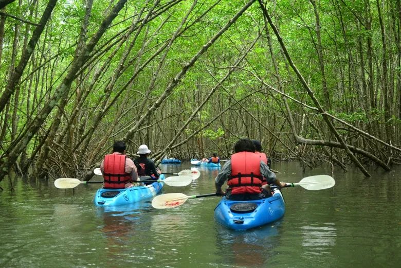 Reserva de la Biosfera Los Petenes, un paraíso de ecoturismo en Campeche
