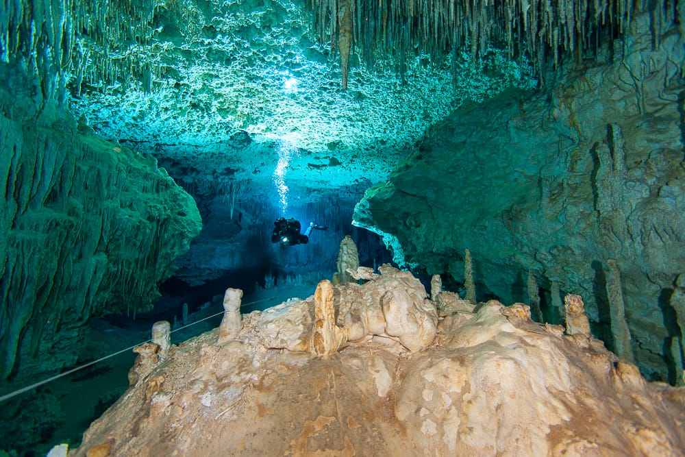 Chan Hol, el cenote donde nadarás entre las aguas más cristalinas de Tulum