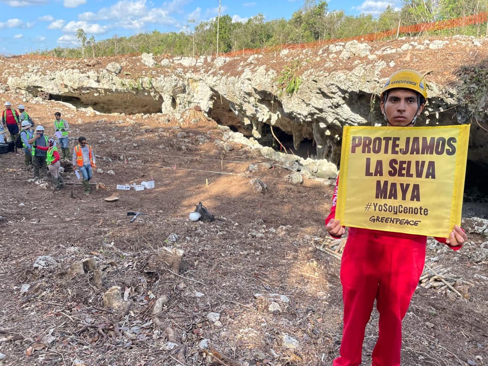 #SélvameDelTren pide ayuda a UNESCO para frenar la construcción del tramo 5 del Tren Maya