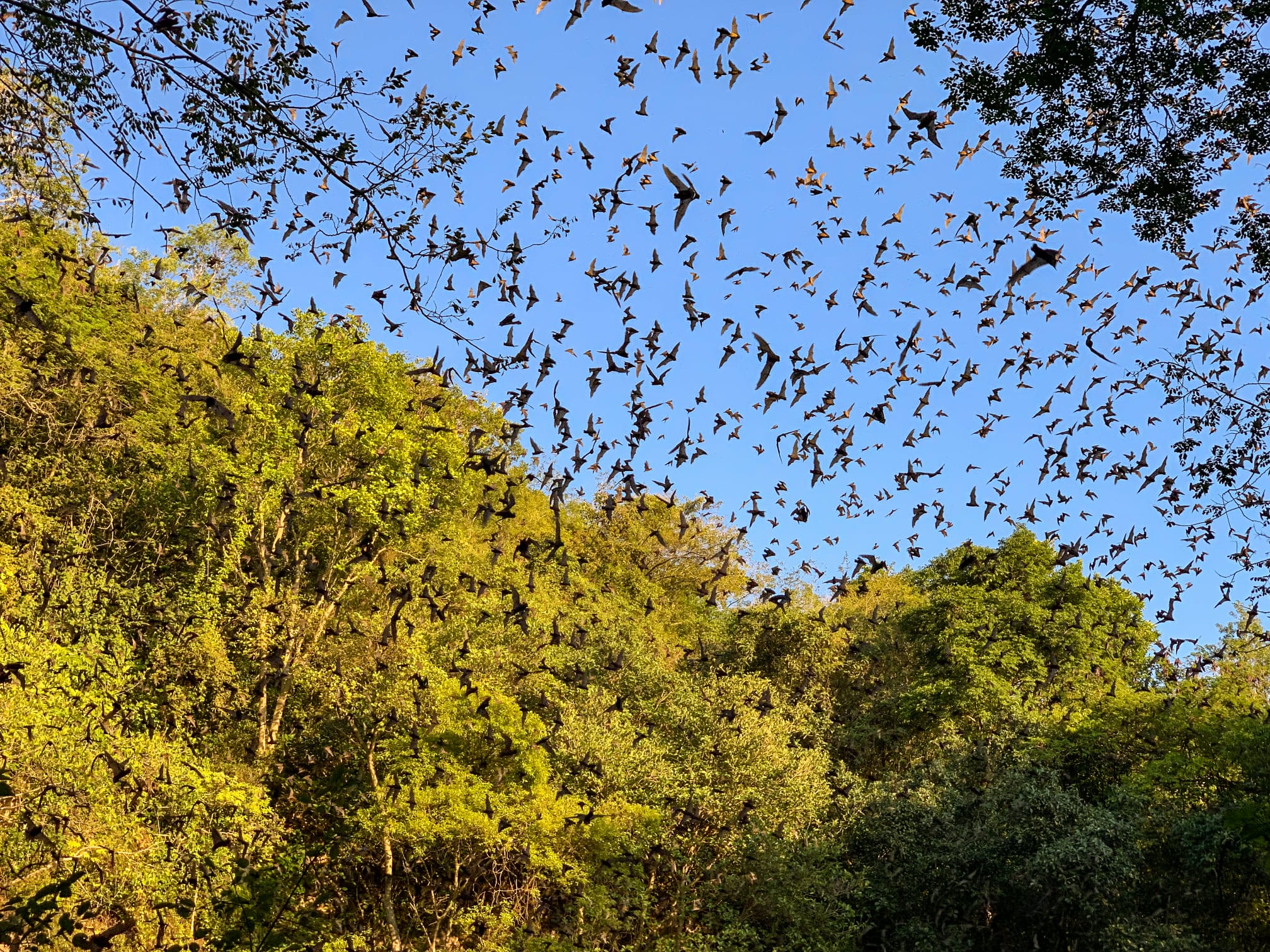 El Volcán de los Murciélagos, una experiencia única en Campeche