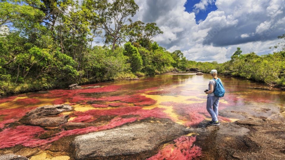 Caño Cristales, el paraíso natural multicolor que debes conocer en Colombia