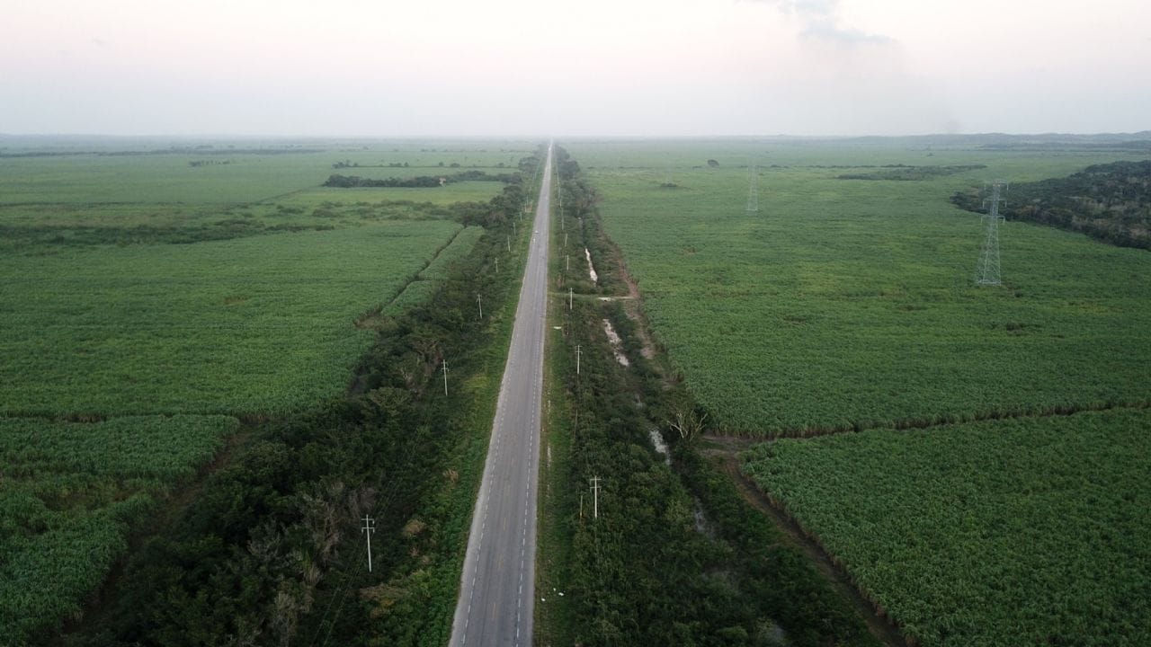 Tramo 6 del Tren Maya es viable ambientalmente, asegura Fonatur