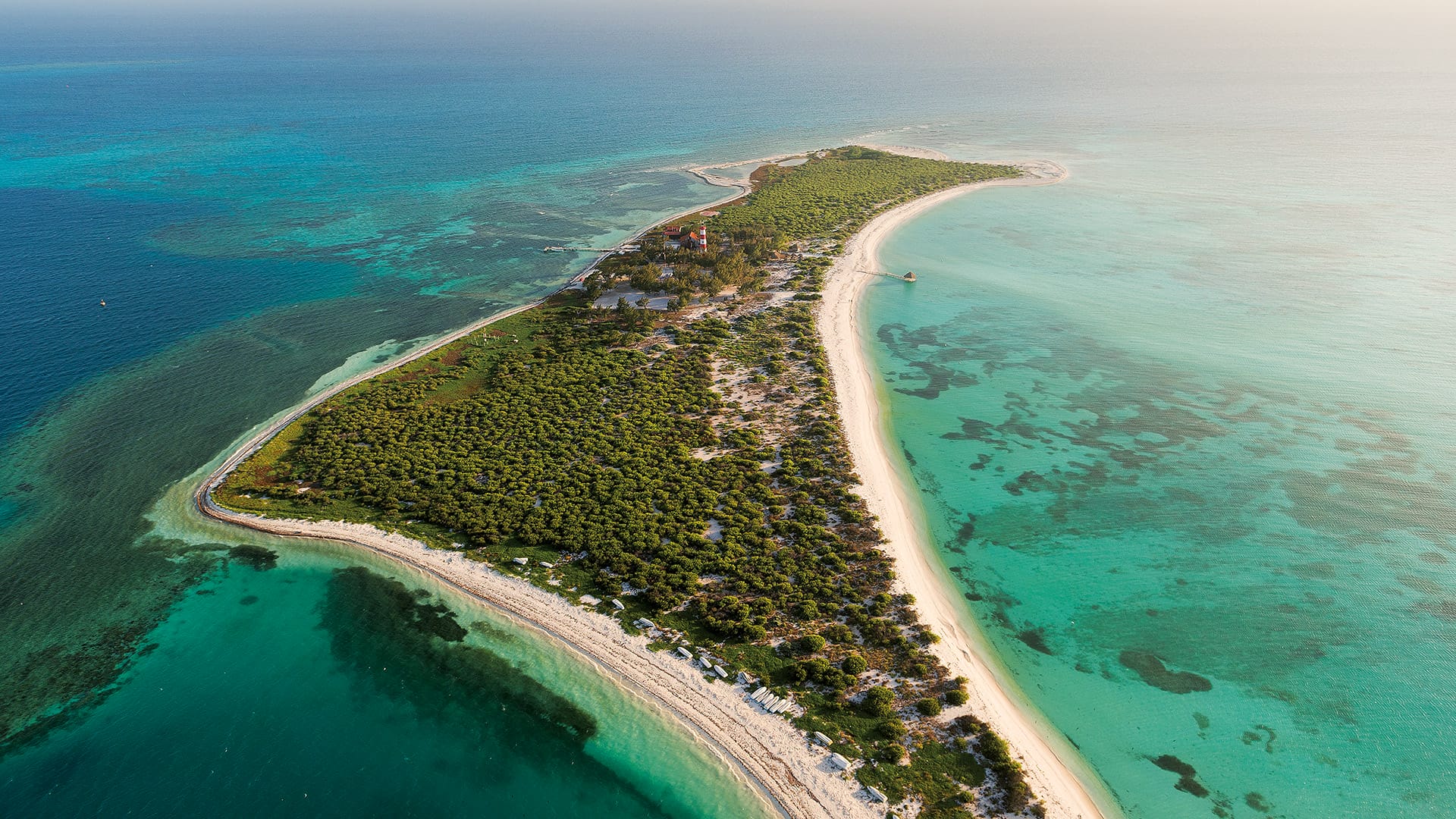 Depredación pesquera amenaza el arrecife Alacranes en Yucatán
