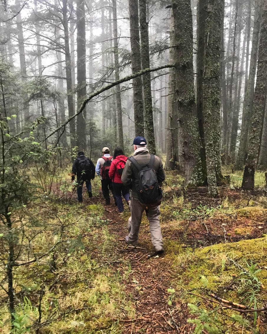 Los mejores lugares para hacer senderismo en Veracruz