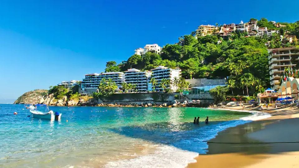 Los mariscos imperdibles y baratos que se convirtieron en "tradición" de Puerto Vallarta