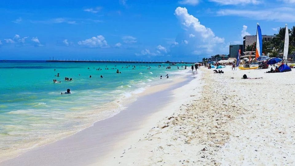 ¿Cuáles son las playas con y sin SARGAZO en Quintana Roo? MAPA