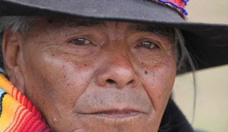 El sabio centenario que sana con plantas y enseña a ver la invisible belleza interior
