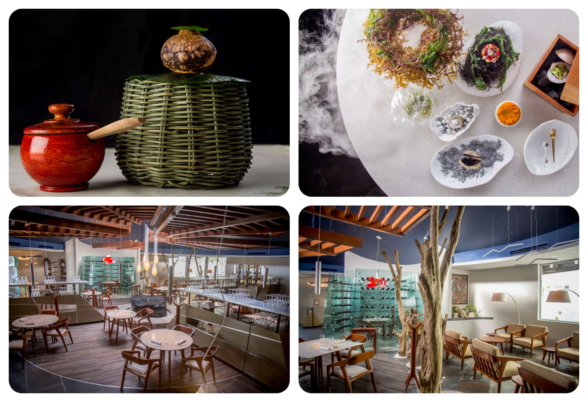 Descubre la magia gastronómica de Le Chique, joya culinaria de la Riviera Maya