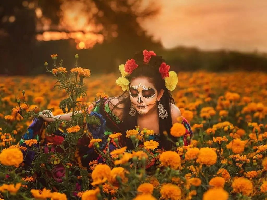 Festival de la Flor de Muerto: Chiapas celebra la belleza y tradición del cempasúchil