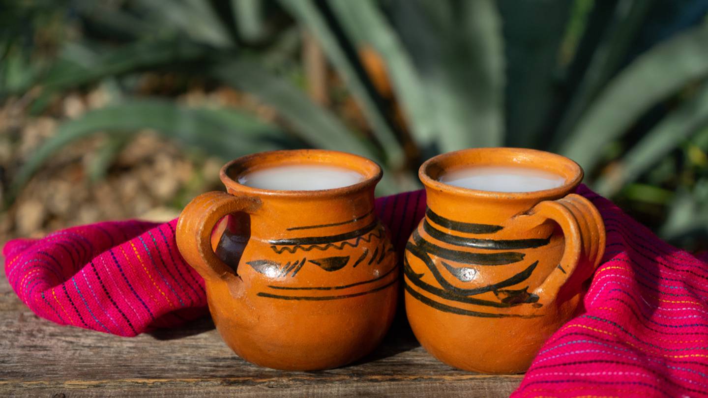 "Bebidas de maíz para las ofrendas del Día de Muertos: Tradición y sabor en cada altar"