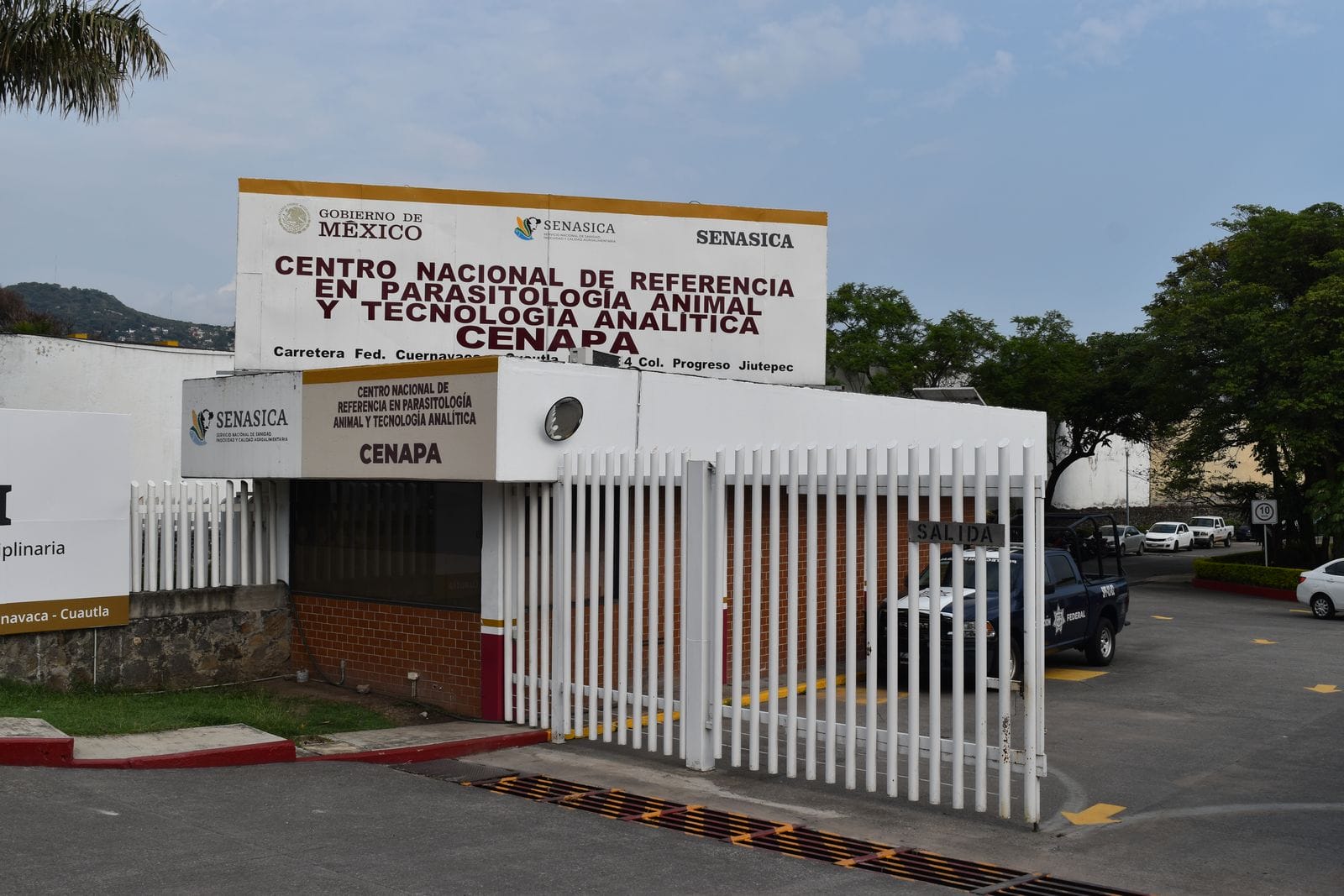 Cenapa cumple 50 años como pilar de la sanidad e inocuidad agroalimentaria en México