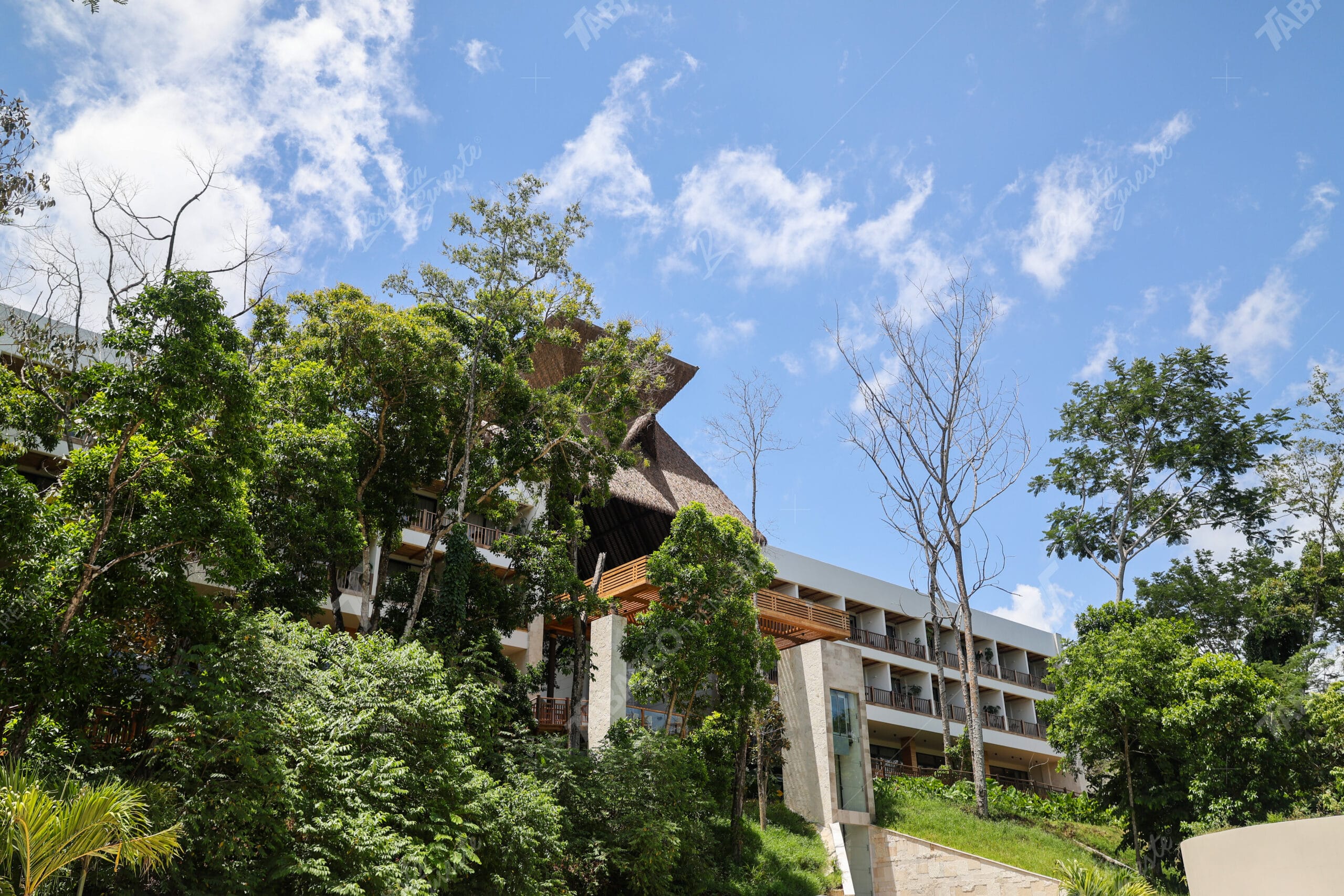 Hotel Mundo Maya Palenque, punto clave del turismo conectado al Tren Maya