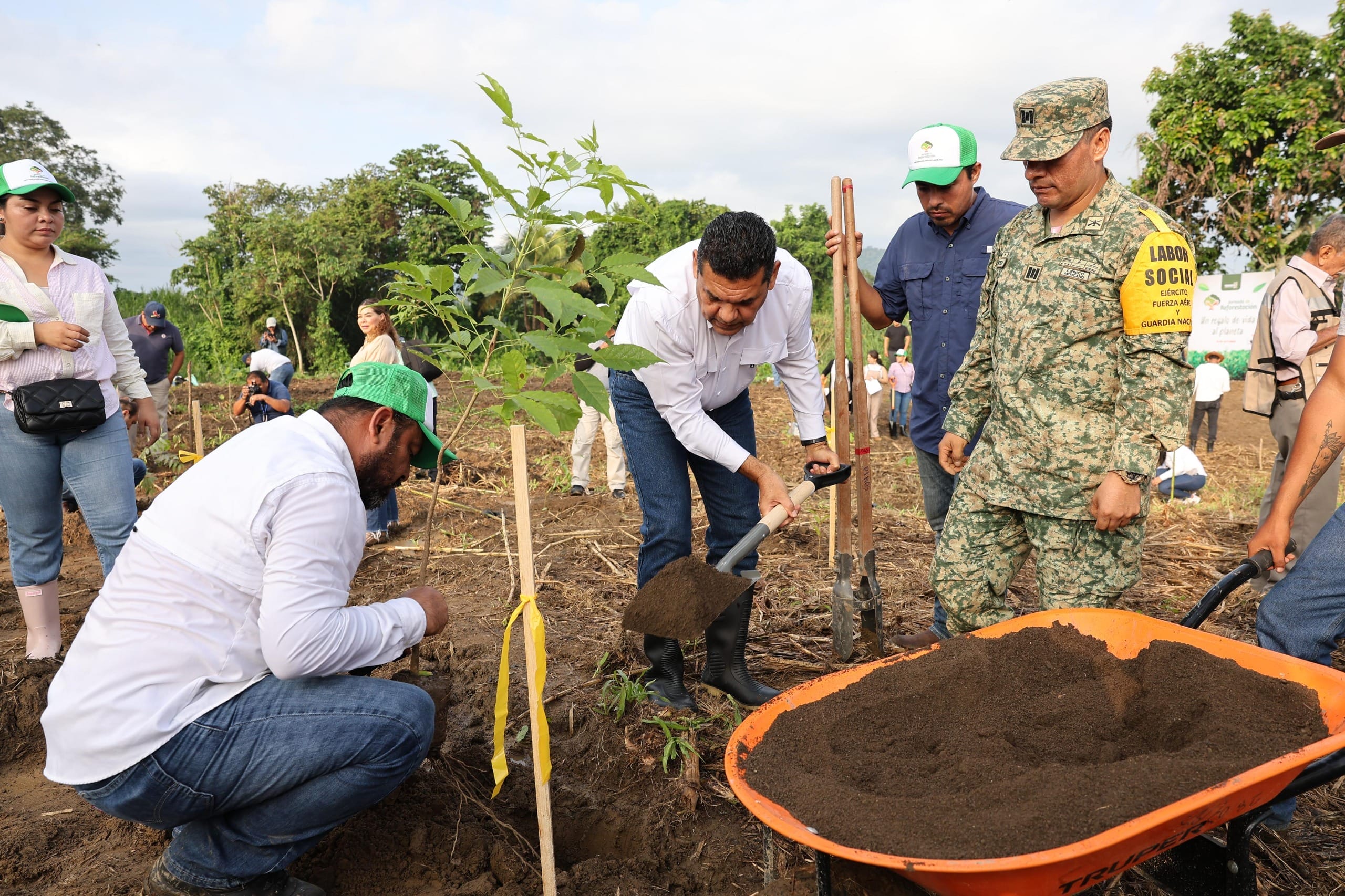 ¡Tabasco verde! Pueblo y gobierno superan 2.7 millones de árboles sembrados en histórica jornada