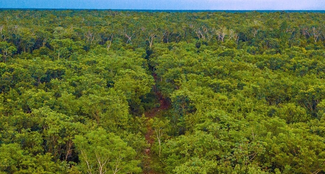 Premio Ángel del Turismo 2025 reconoce a Kíichpam K’áax como líder nacional en turismo rural y comunitario